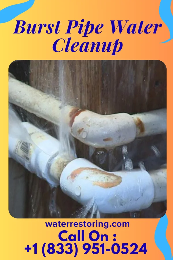 Burst Pipe Water Cleanup in Sheridan, WY
