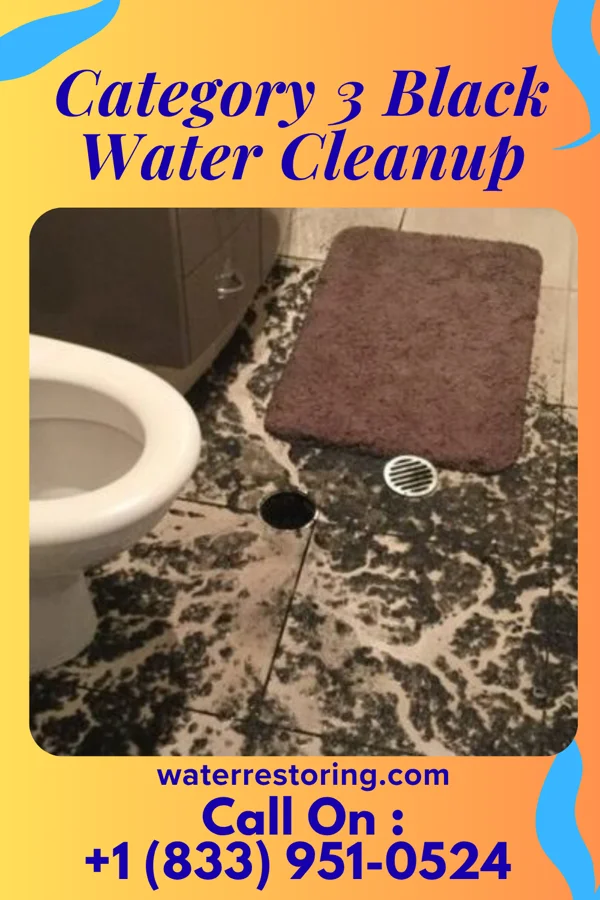 Category 3 Black Water Cleanup in Sheridan, WY