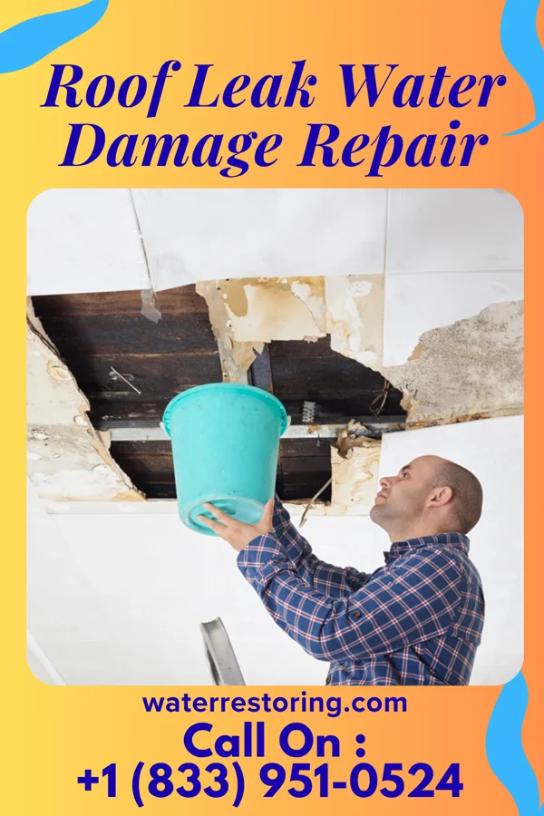 Roof Leak Water Damage Repair in Sheridan, WY