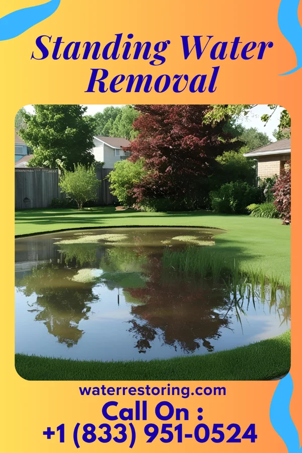 Standing Water Removal in Sheridan, WY